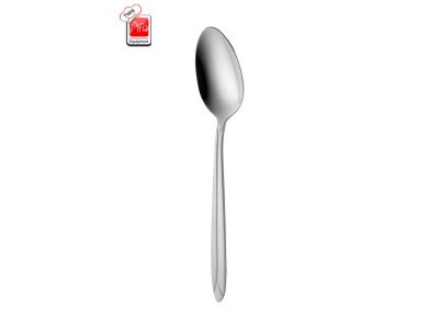قاشق غذا خوری 